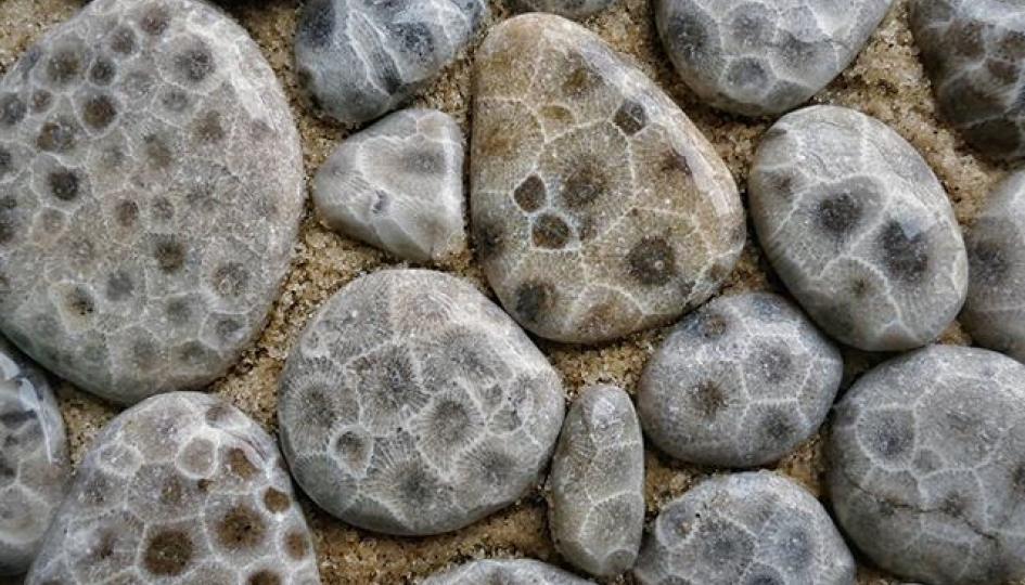 petoskey stone